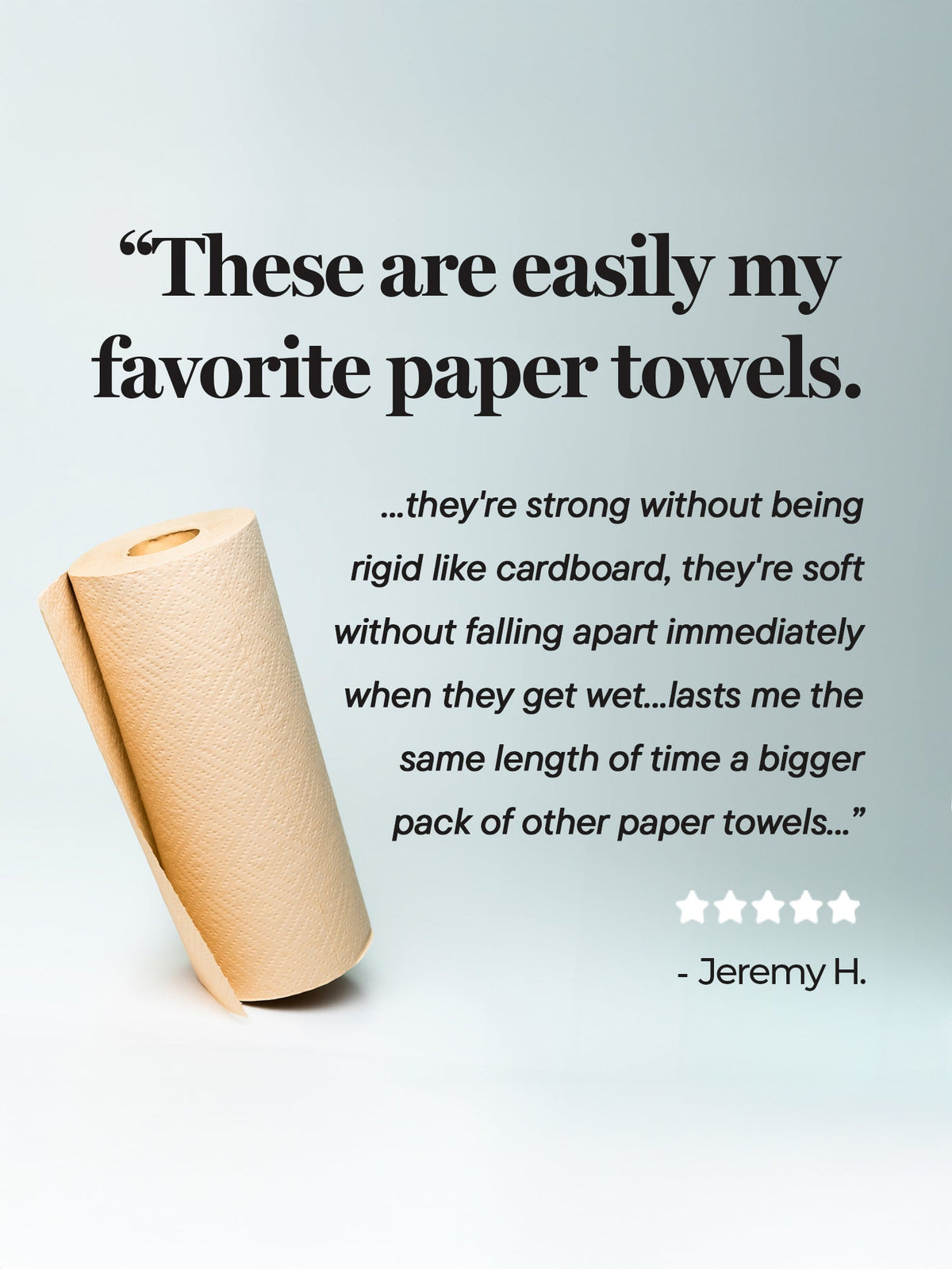 Rustic Strength Panda Eco Paper Bamboo Paper Towels