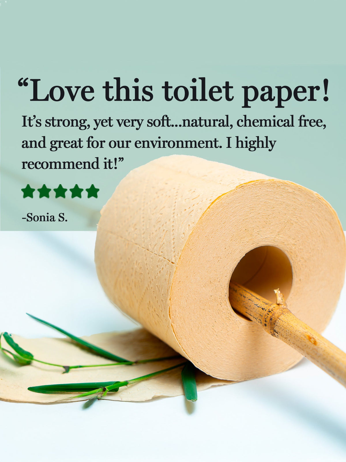 Rustic Strength Panda Eco Paper Bamboo Toilet Paper