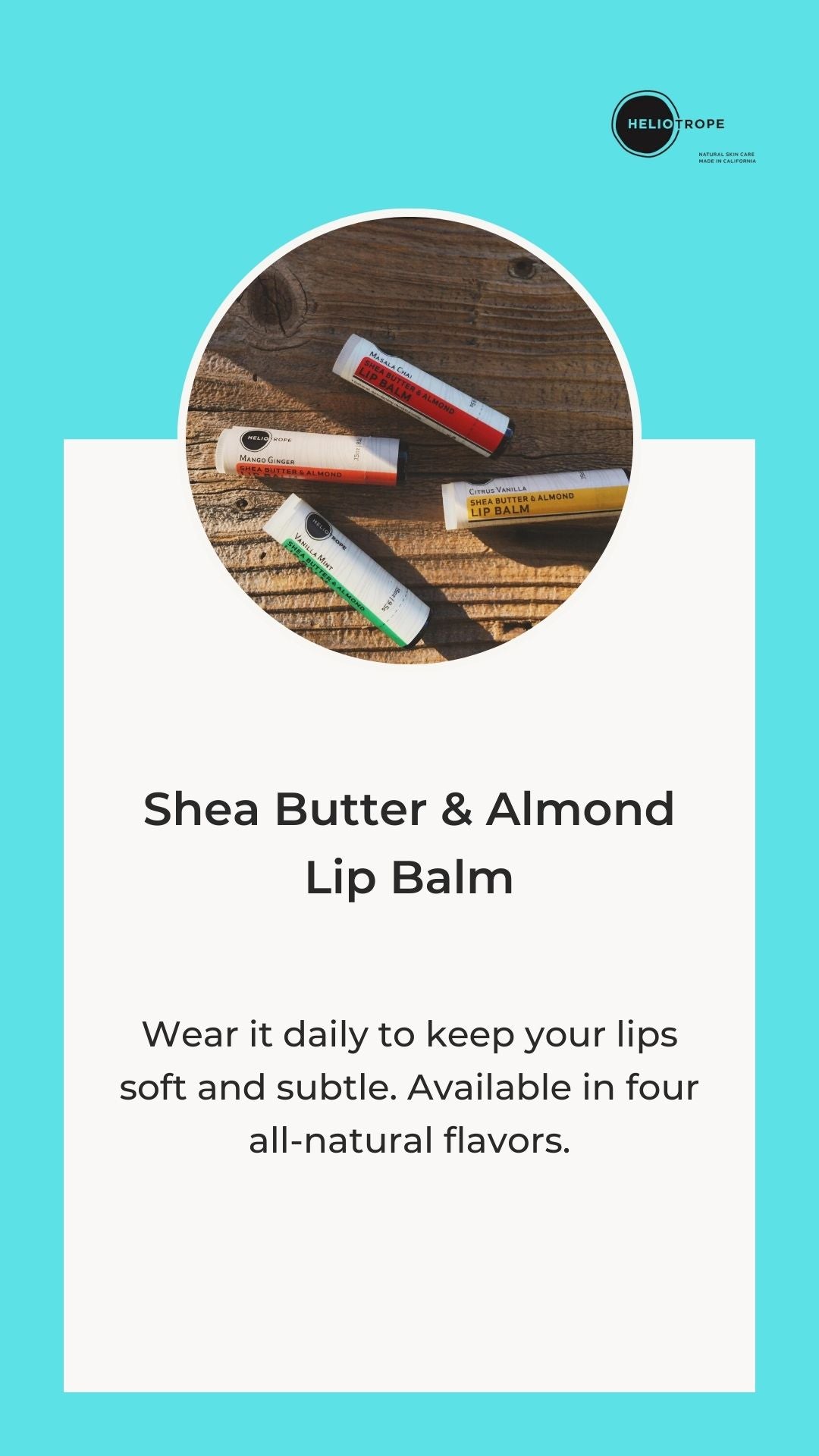 Heliotrope SF Shea Butter & Almond Lip Balm
