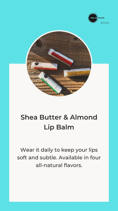 Heliotrope SF Shea Butter & Almond Lip Balm